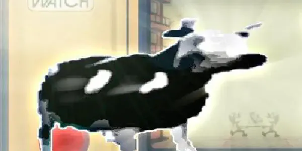 featured image cow.jpg